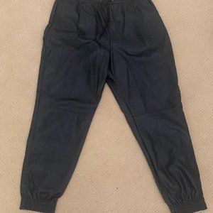 Zara Faux Leather Jogger Pant (Size Large)